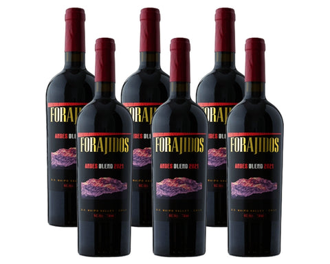 6x Andes Blend, Ensamblaje, Forajidos Wines