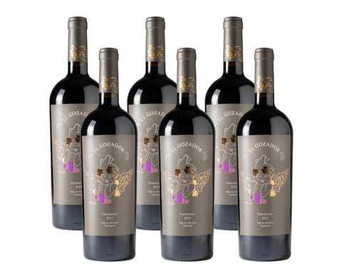 6x El Gozador, Carmenere, Chile DiVino