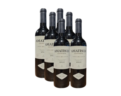 Amatista, Caja 6 Vinos, Carmenere, Gonzalo Guzmán