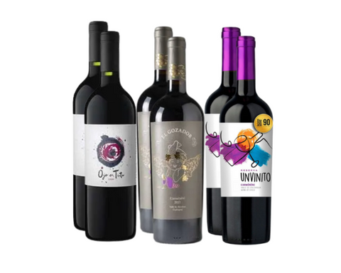 Caja mixta Carmenere, 6 Vinos